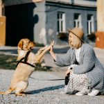 girl, dog, pet