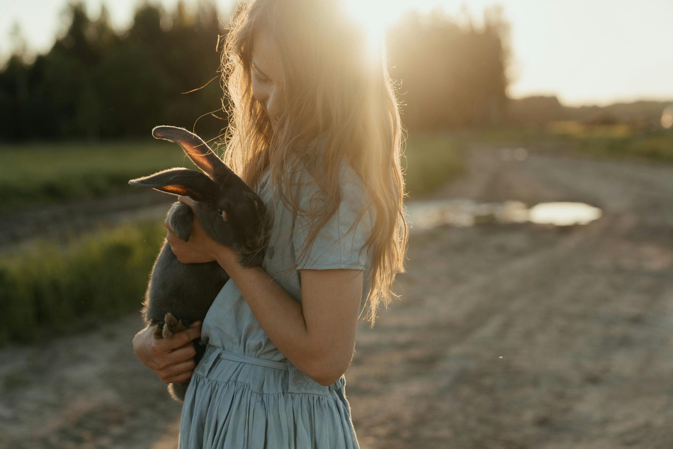 A young girl lovingly holds a rabbit outdoors at sunset, surrounded by picturesque farmland.