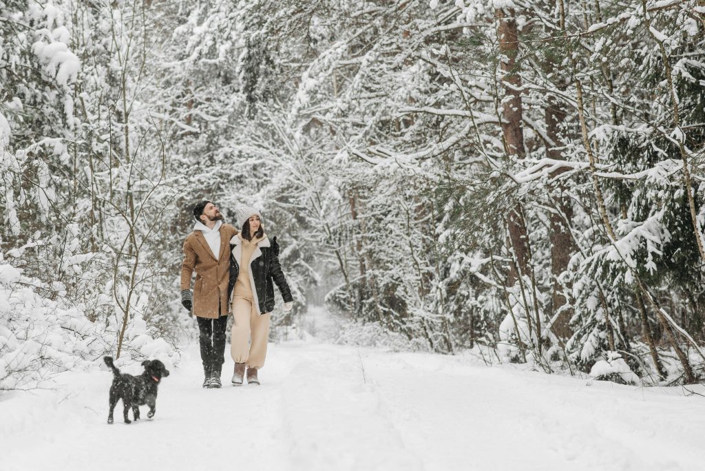 A couple and their dog enjoy a peaceful walk in a snow-covered forest during winter.