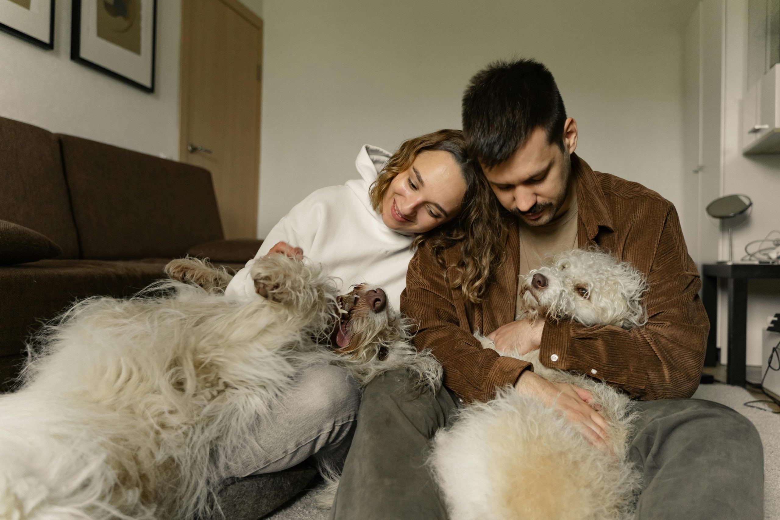 A joyful couple hugging their two fluffy dogs while sitting indoors, showcasing love and companionship.